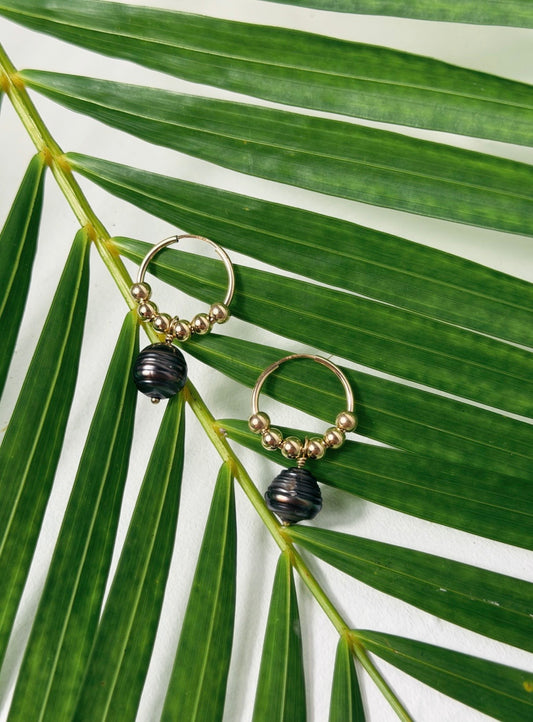 Tahitian Black Pearl Beaded Hoop Earrings Gold Filled