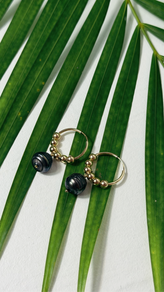 Tahitian Black Pearl Beaded Hoop Earrings Gold Filled
