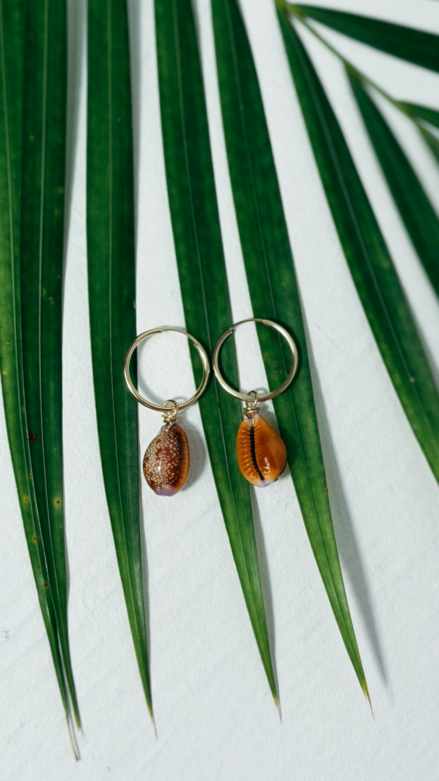 Honey Girl Hoop Earrings Gold Filled