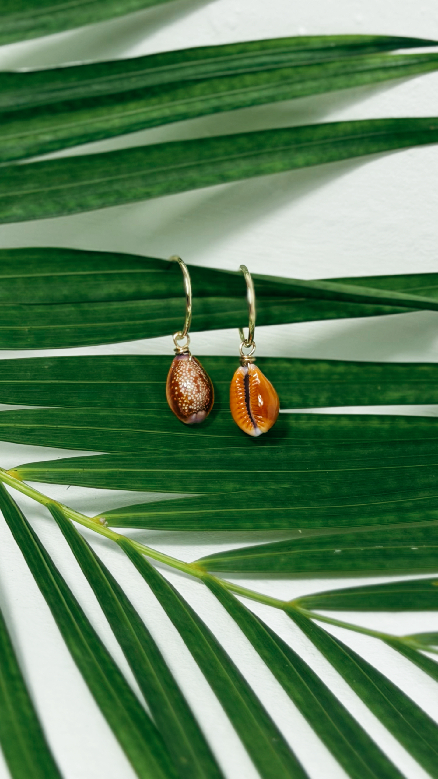 Honey Girl Hoop Earrings Gold Filled