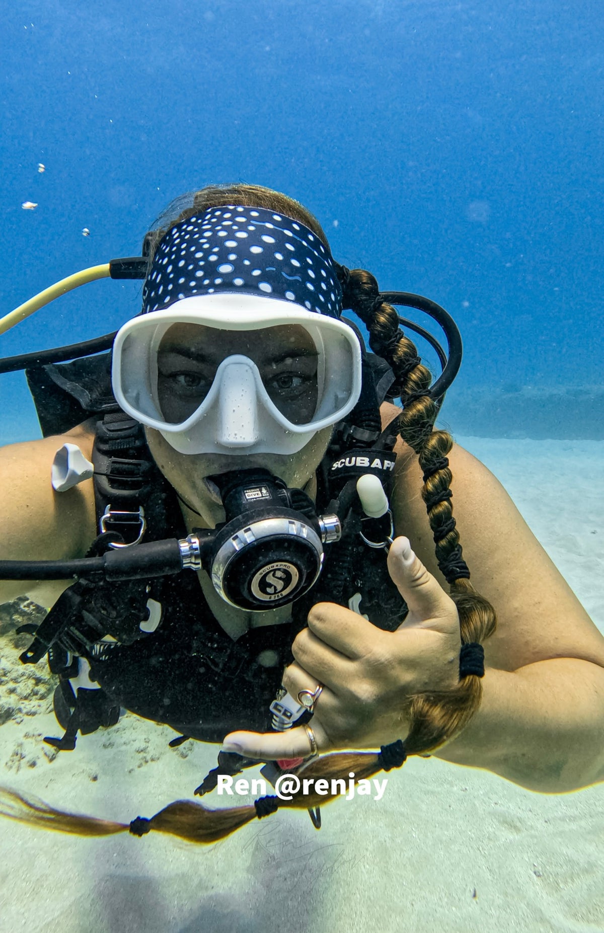 Whale Shark Dive Headband