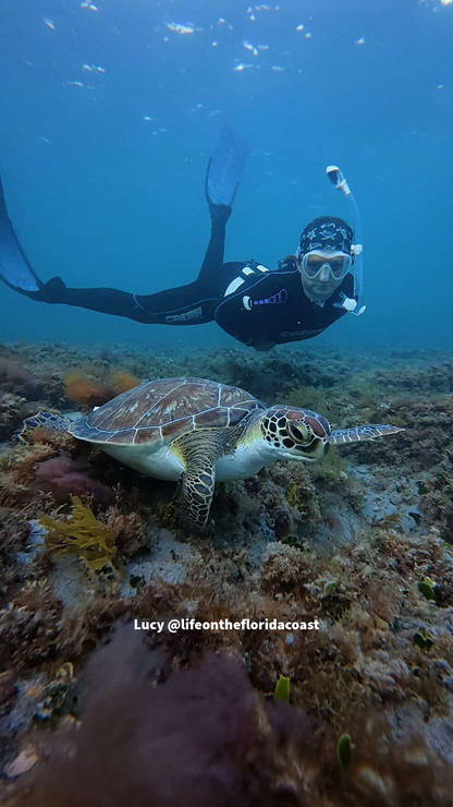 Black Sea Turtle Dive Headband