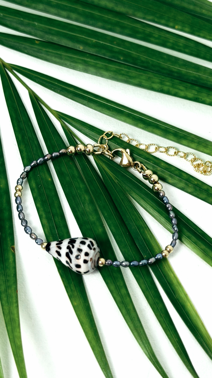 Hebrew Cone Shell Bracelet Gold Filled
