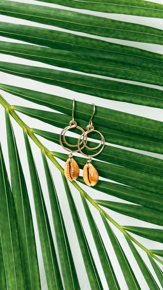 Honey Cowrie Earrings Gold Filled