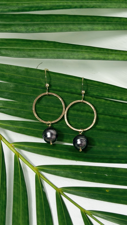 Tahitian Black Pearl Earrings Gold Filled