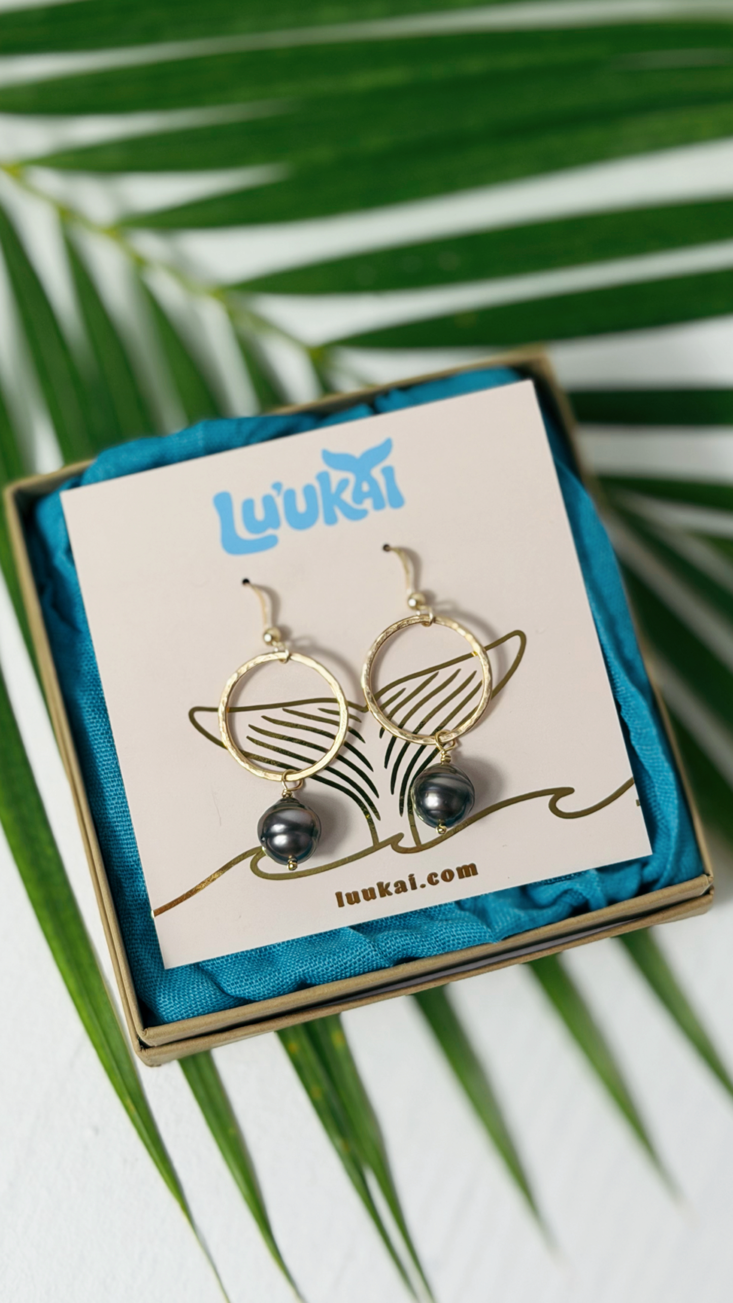 Tahitian Black Pearl Earrings Gold Filled