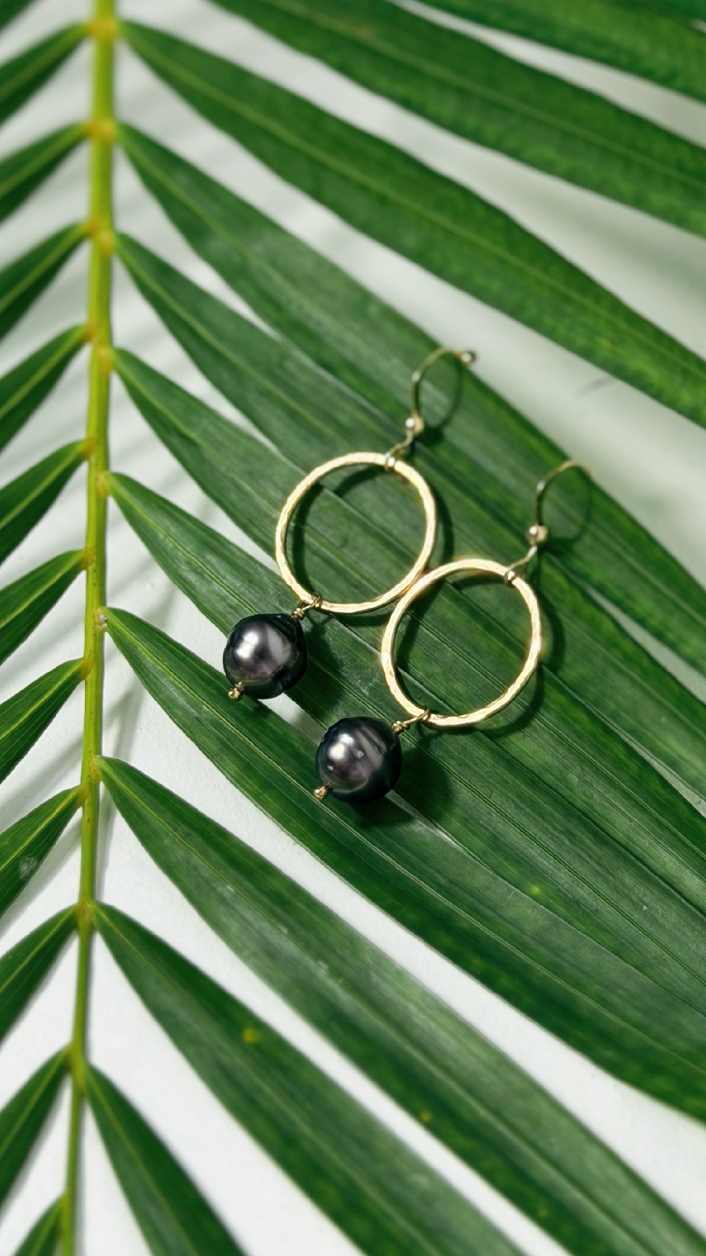 Tahitian Black Pearl Earrings Gold Filled