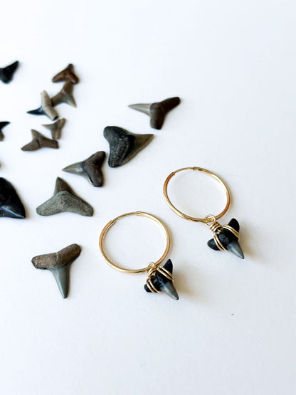 Shark Tooth Hoops