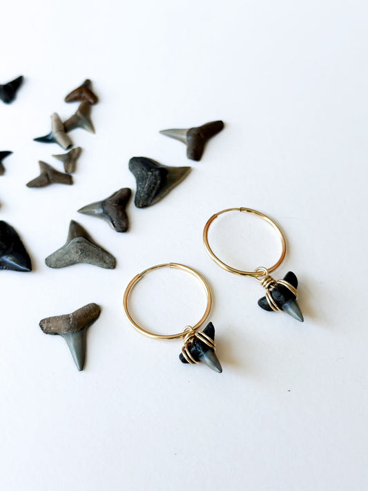 Shark Tooth Hoops