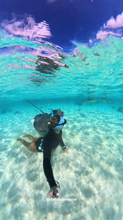 Light Blue Cone Shells Dive Headband